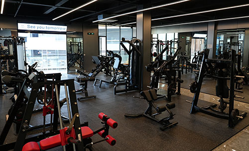 中国健身器材出口市场趋势分析